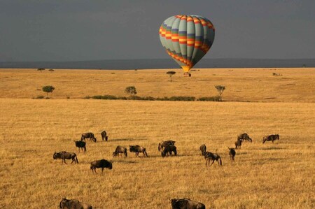 Hotair Baloon Safaris