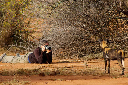 Photographics Safaris