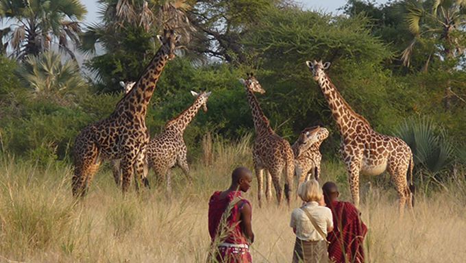 10-walking-safaris-in-tanzania-1-1-lead