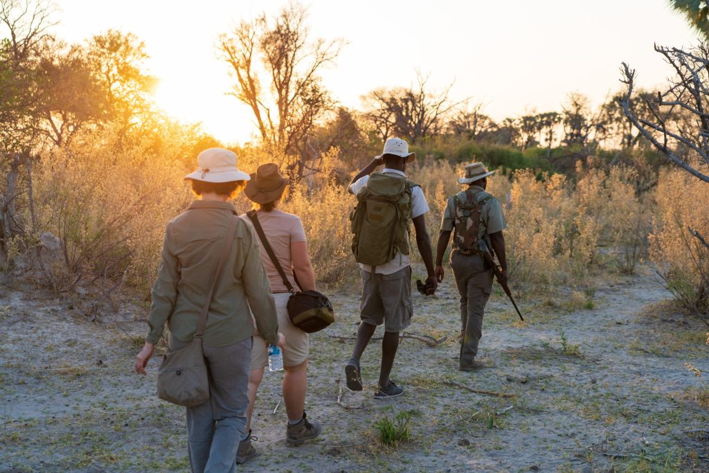 walking-safari-botswana-wild-expedition-safaris